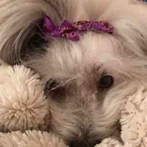 Meet your Posher, Karon